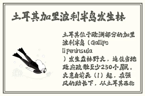 2018一本久道在线线观看